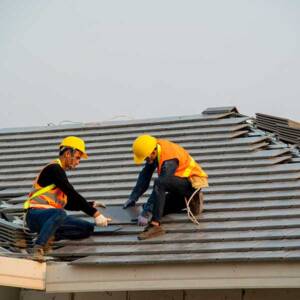 Adobestock 334248477